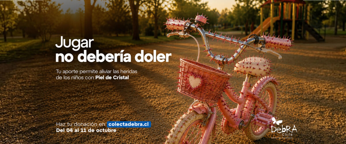 voluntarios colecta debra 2026